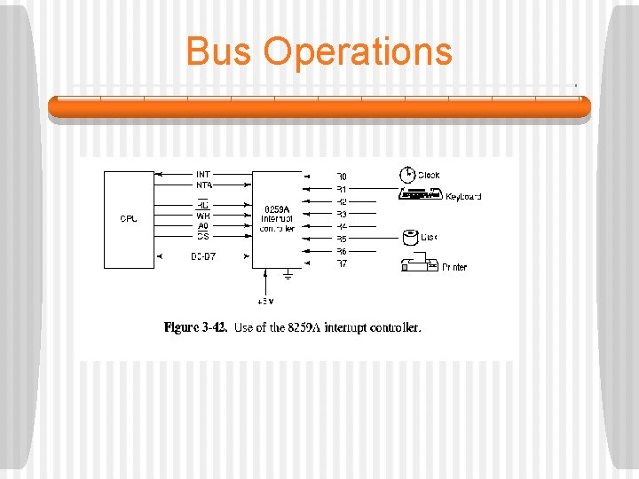 Bus Operations  Bus Operations