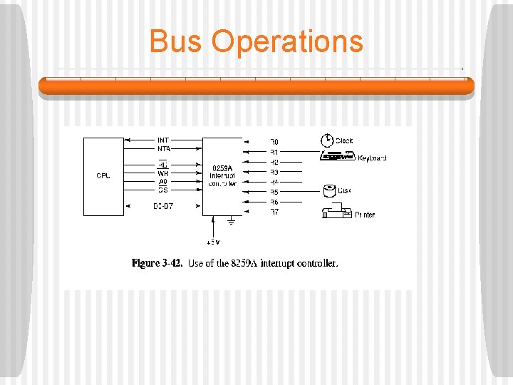 Bus Operations 