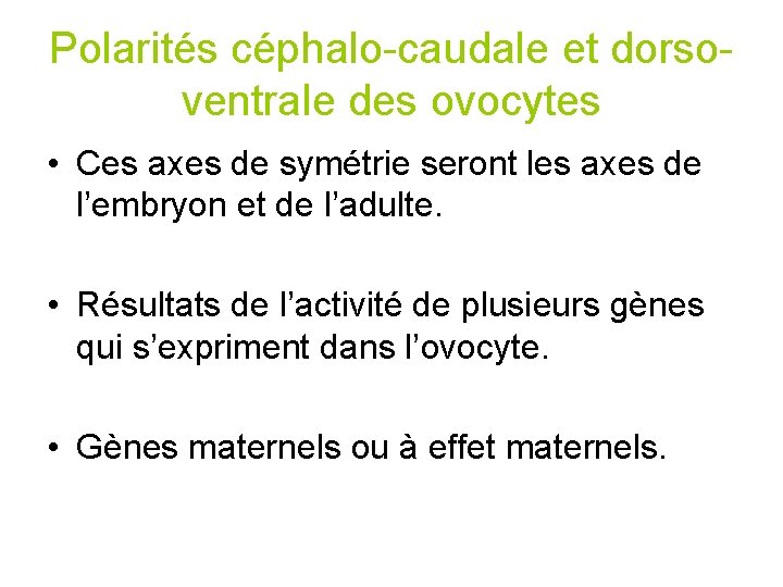 Polarités céphalo-caudale et dorsoventrale des ovocytes • Ces axes de symétrie seront les axes