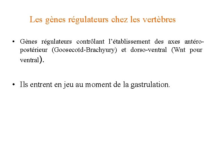 Les gènes régulateurs chez les vertèbres • Gènes régulateurs contrôlant l’établissement des axes antéropostérieur