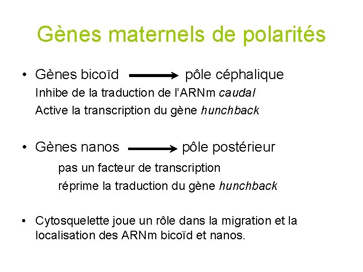 Gènes maternels de polarités • Gènes bicoïd pôle céphalique Inhibe de la traduction de