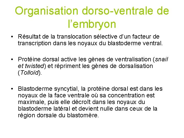 Organisation dorso-ventrale de l’embryon • Résultat de la translocation sélective d’un facteur de transcription