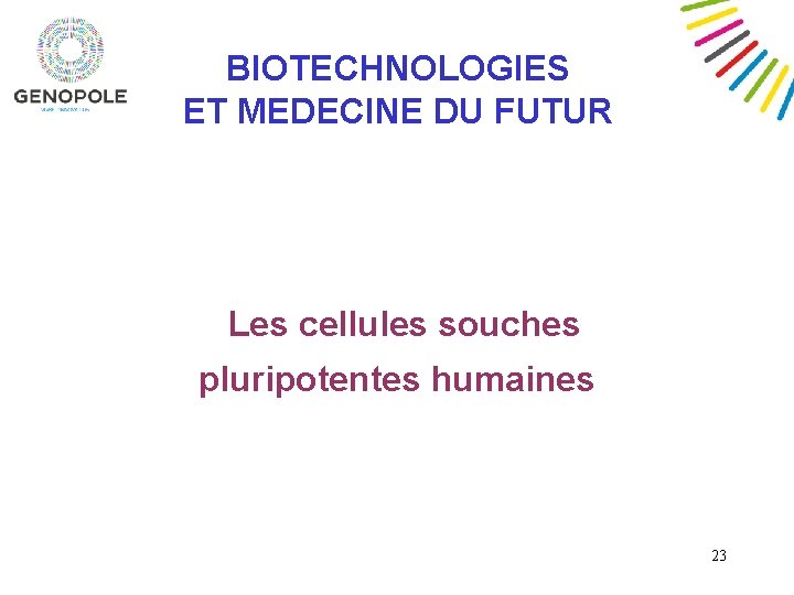 BIOTECHNOLOGIES ET MEDECINE DU FUTUR Les cellules souches pluripotentes humaines 23 