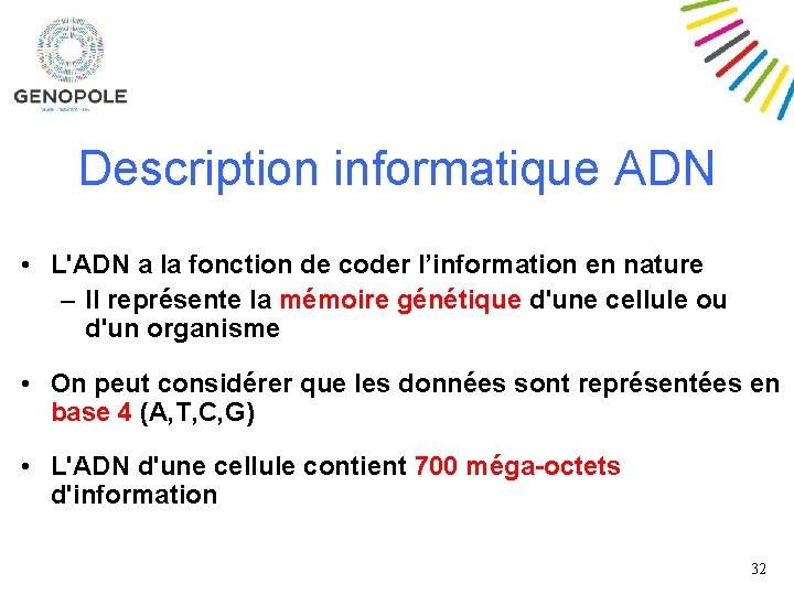 Description informatique ADN • L'ADN a la fonction de coder l’information en nature –