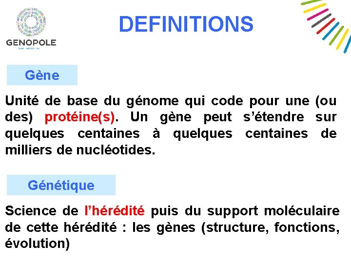 DEFINITIONS Gène Unité de base du génome qui code pour une (ou des) protéine(s).