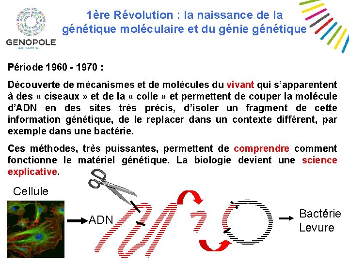 1ère Révolution : la naissance de la génétique moléculaire et du génie génétique Période