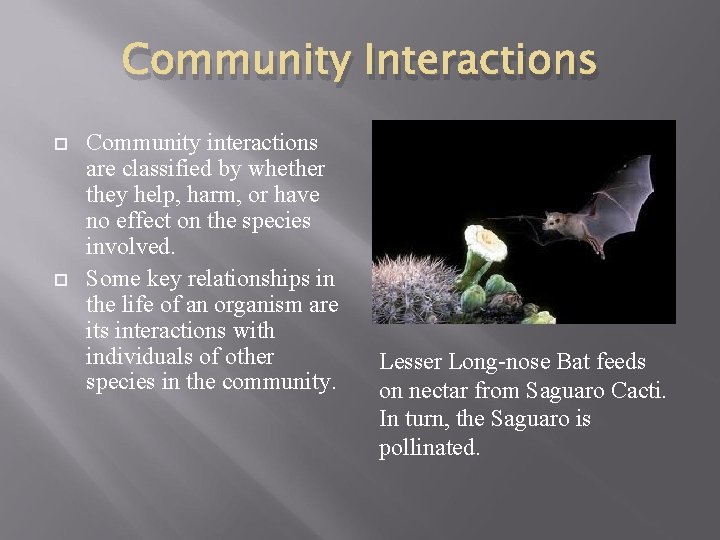 Community Interactions Community interactions are classified by whether they help, harm, or have no