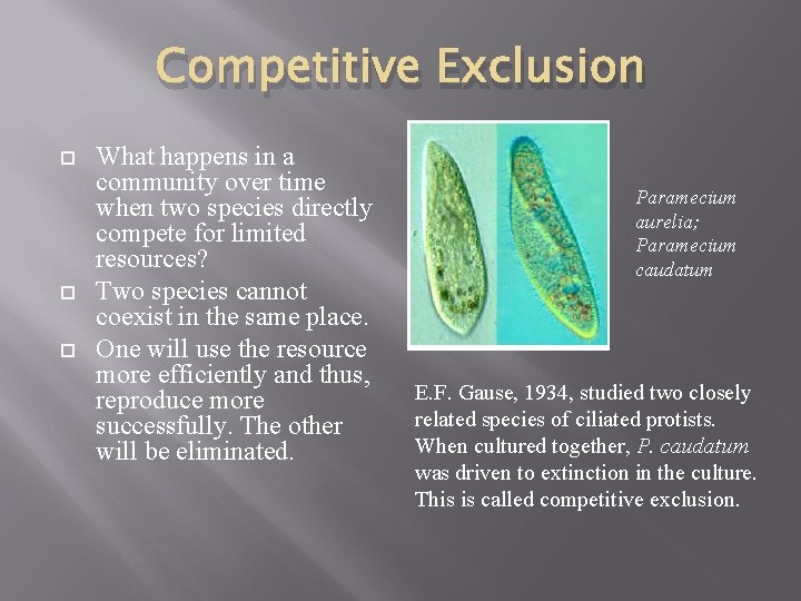 Competitive Exclusion What happens in a community over time when two species directly compete