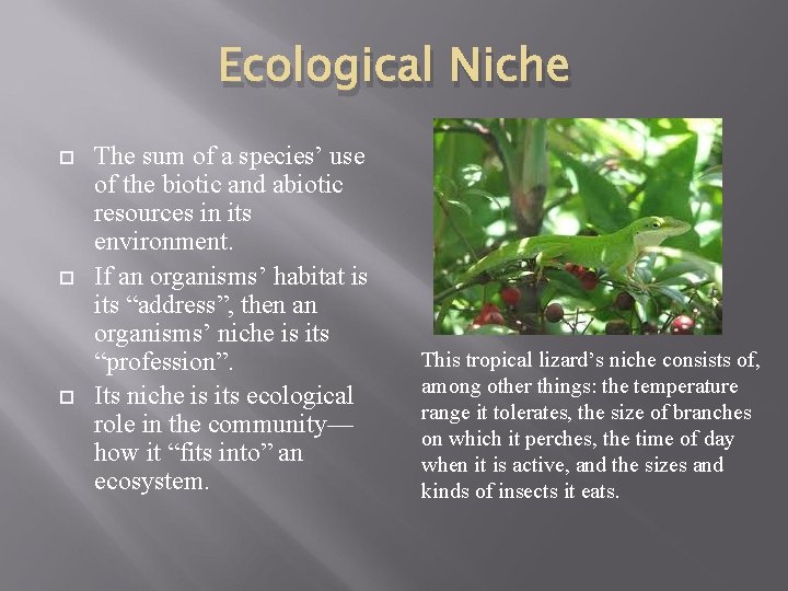 Ecological Niche The sum of a species’ use of the biotic and abiotic resources