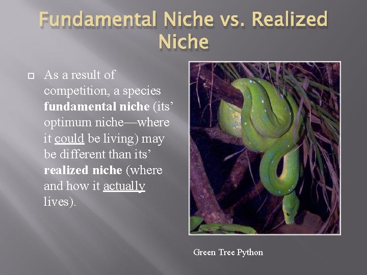 Fundamental Niche vs. Realized Niche As a result of competition, a species fundamental niche