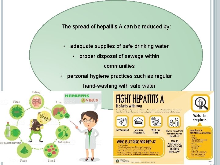 The spread of hepatitis A can be reduced by: • adequate supplies of safe