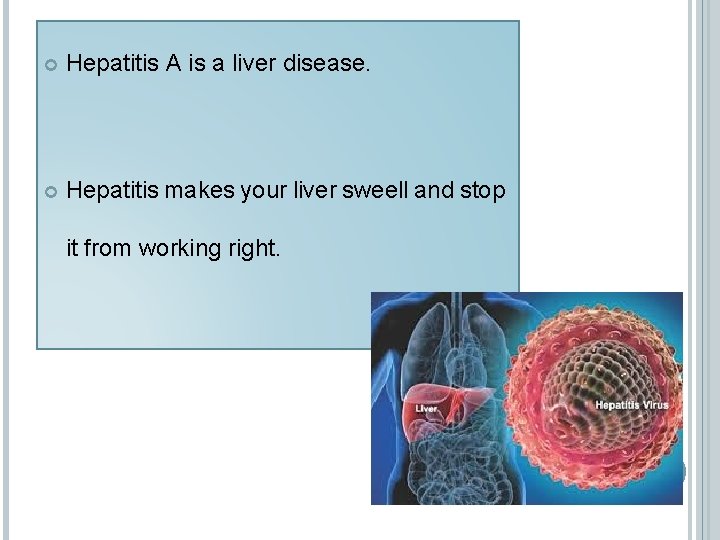  Hepatitis A is a liver disease. Hepatitis makes your liver sweell and stop