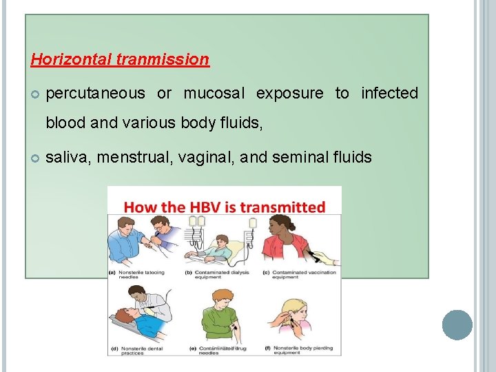 Horizontal tranmission percutaneous or mucosal exposure to infected blood and various body fluids, saliva,