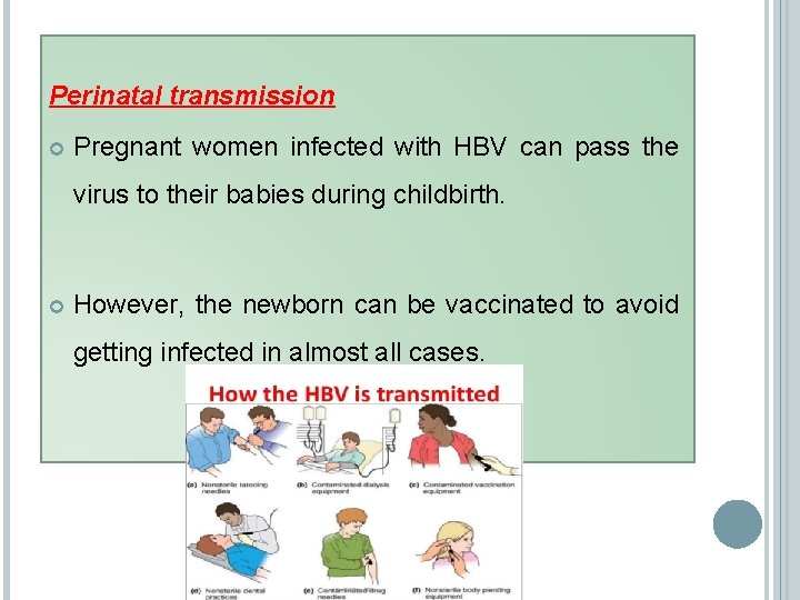 Perinatal transmission Pregnant women infected with HBV can pass the virus to their babies