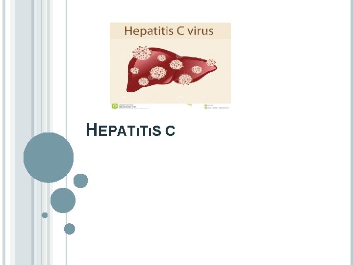 HEPATıTıS C 
