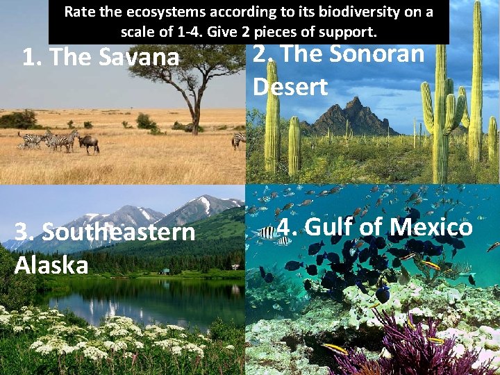 Rate the ecosystems according to its biodiversity on a scale of 1 -4. Give