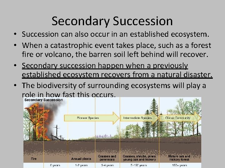 Secondary Succession • Succession can also occur in an established ecosystem. • When a