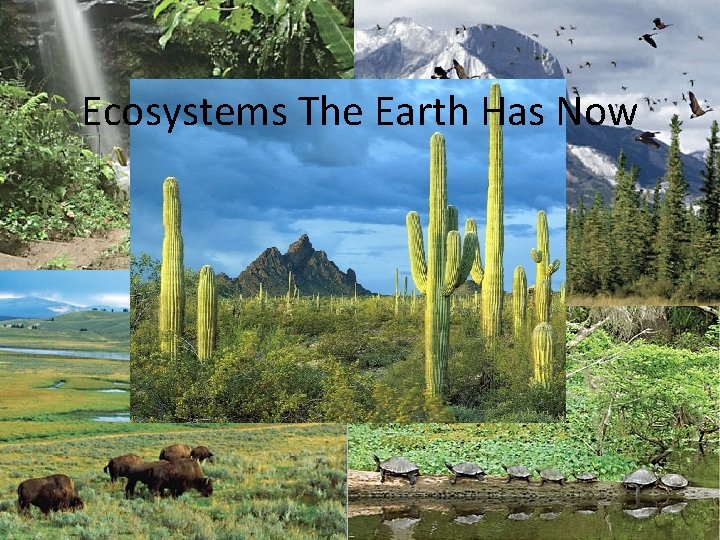 Ecosystems The Earth Has Now • After millions of years of evolution, erosion, natural