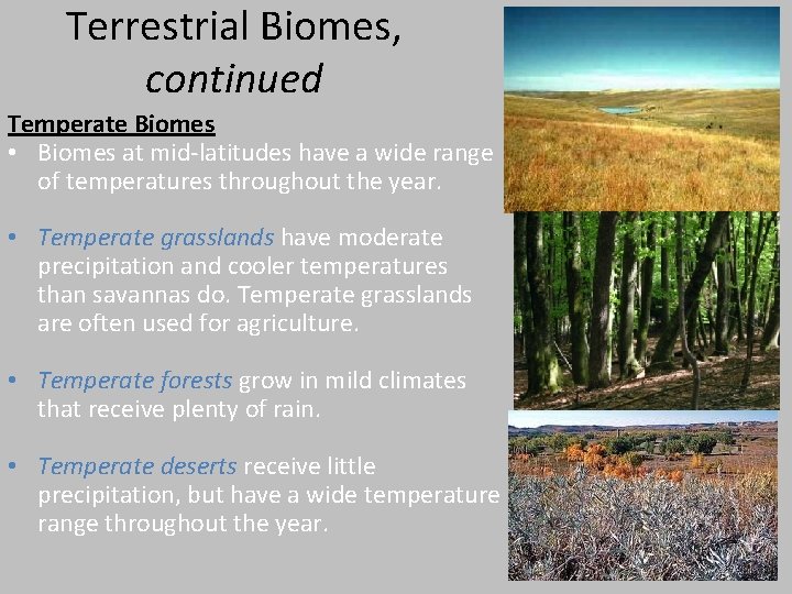 Terrestrial Biomes, continued Temperate Biomes • Biomes at mid-latitudes have a wide range of