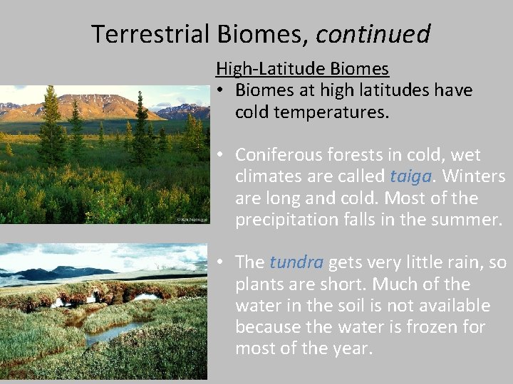 Terrestrial Biomes, continued High-Latitude Biomes • Biomes at high latitudes have cold temperatures. •