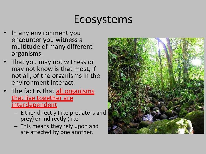 Ecosystems • In any environment you encounter you witness a multitude of many different