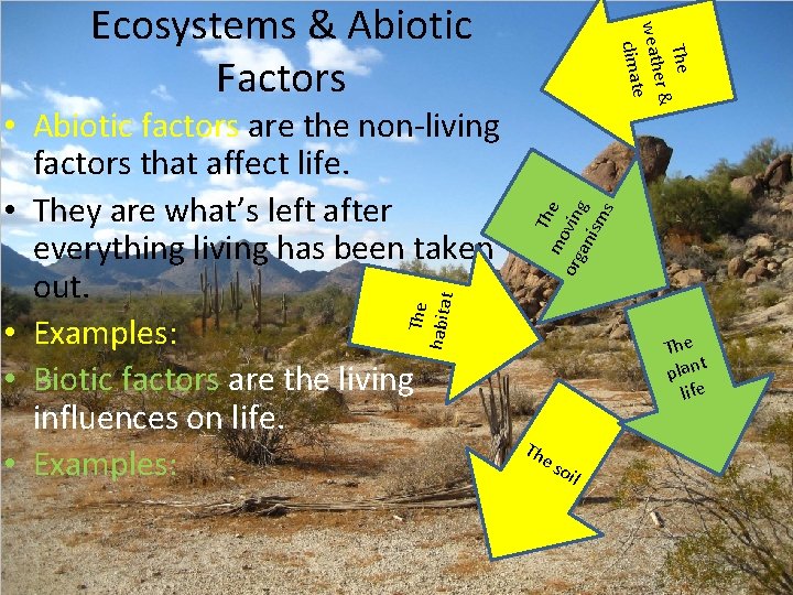 T mo he org vin an g ism s The habitat • Abiotic factors T mo he org vin an g ism s The habitat • Abiotic factors