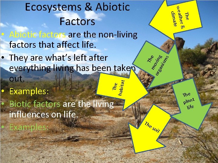 T mo he org vin an g ism s The habitat • Abiotic factors