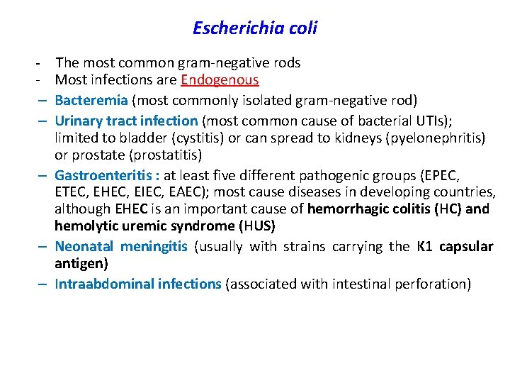 Escherichia coli - The most common gram-negative rods - Most infections are Endogenous –