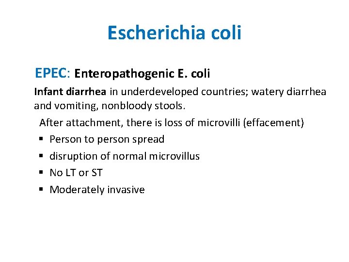 Escherichia coli EPEC: Enteropathogenic E. coli Infant diarrhea in underdeveloped countries; watery diarrhea and