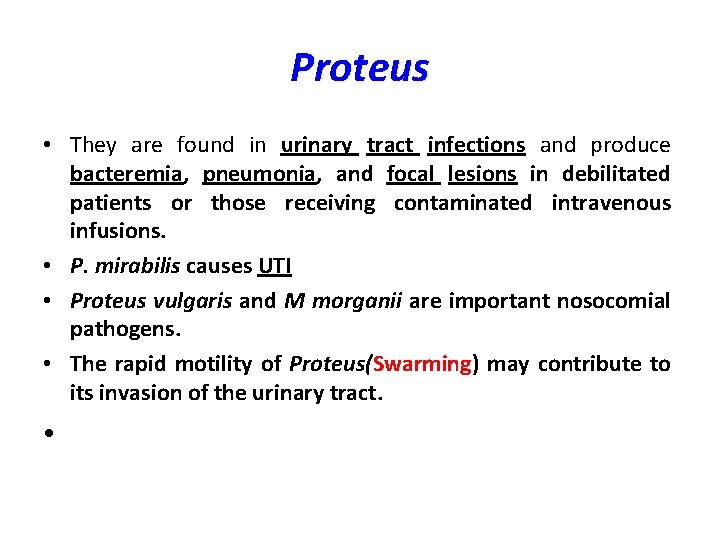 Proteus • They are found in urinary tract infections and produce bacteremia, pneumonia, and