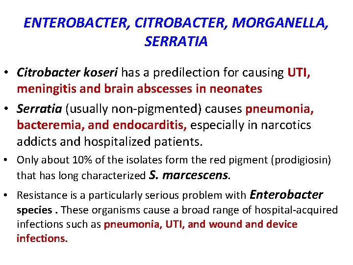 ENTEROBACTER, CITROBACTER, MORGANELLA, SERRATIA • Citrobacter koseri has a predilection for causing UTI, meningitis