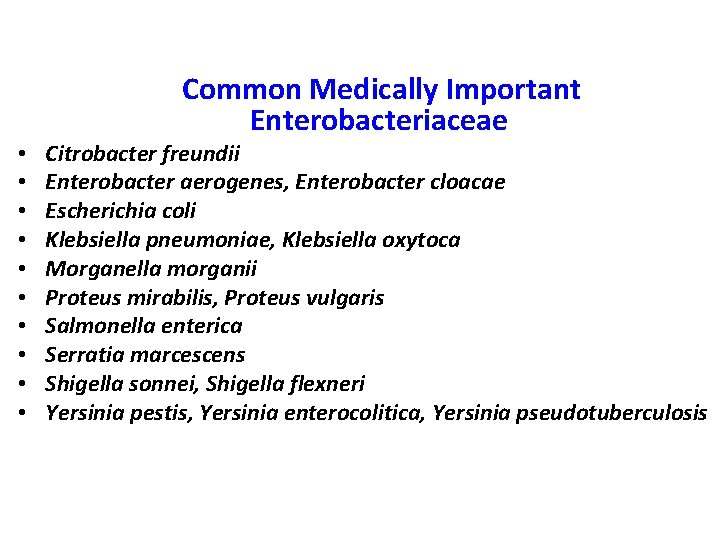  • • • Common Medically Important Enterobacteriaceae Citrobacter freundii Enterobacter aerogenes, Enterobacter cloacae