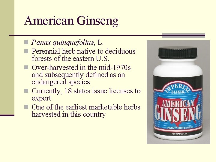 American Ginseng n Panax quinquefolius, L. n Perennial herb native to deciduous forests of