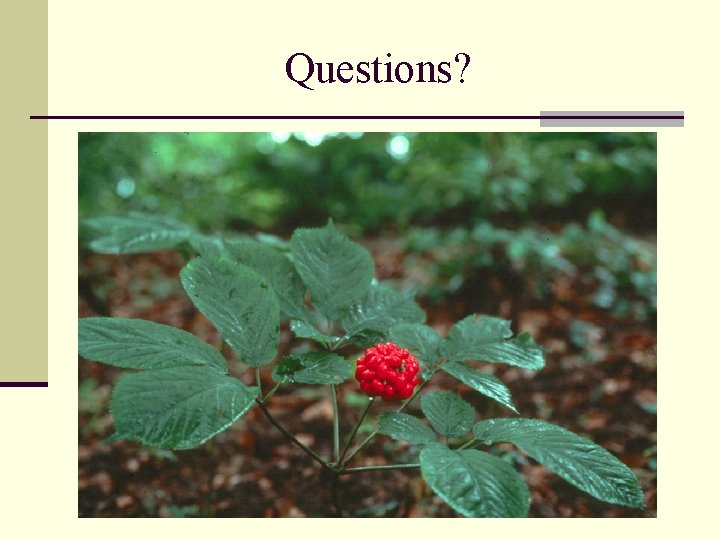 Questions? 