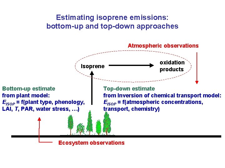 Estimating isoprene emissions: bottom-up and top-down approaches Atmospheric observations Isoprene Bottom-up estimate from plant