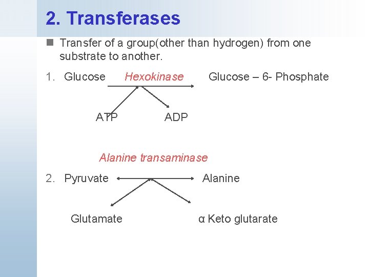 2. Transferases n Transfer of a group(other than hydrogen) from one substrate to another.