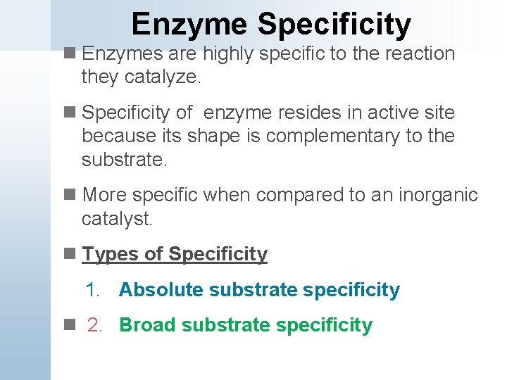 Enzyme Specificity n Enzymes are highly specific to the reaction they catalyze. n Specificity