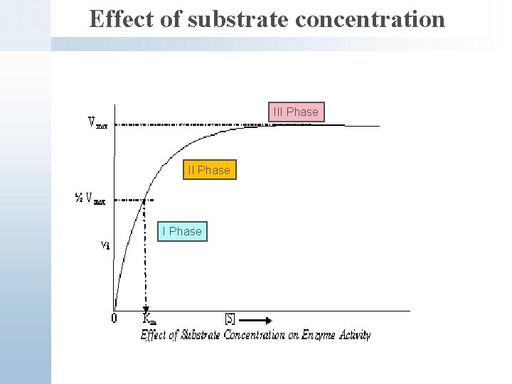 Effect of substrate concentration III Phase 