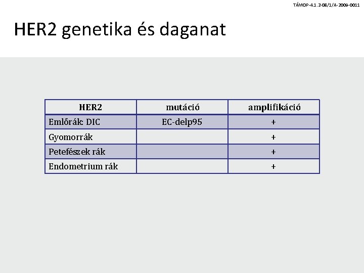 TÁMOP-4. 1. 2 -08/1/A-2009 -0011 HER 2 genetika és daganat HER 2 mutáció amplifikáció