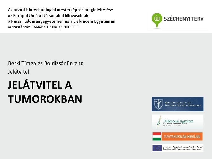 Az orvosi biotechnológiai mesterképzés megfeleltetése az Európai Unió új társadalmi kihívásainak a Pécsi Tudományegyetemen