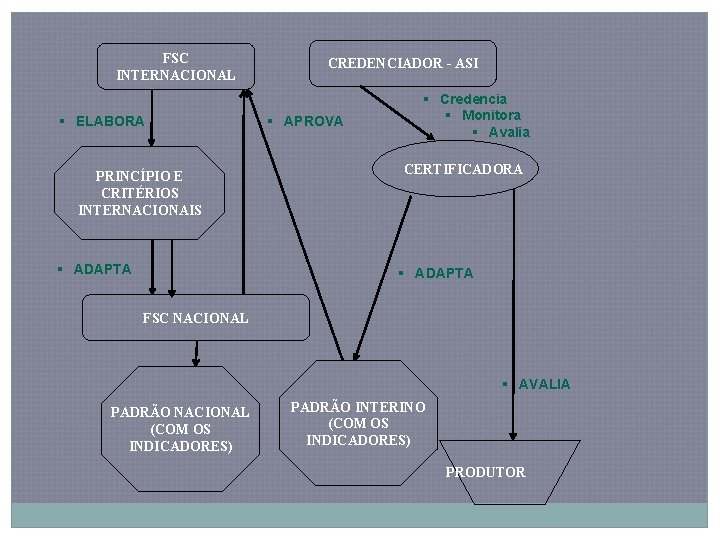 FSC INTERNACIONAL ELABORA PRINCÍPIO E CRITÉRIOS INTERNACIONAIS ADAPTA CREDENCIADOR - ASI APROVA Credencia Monitora