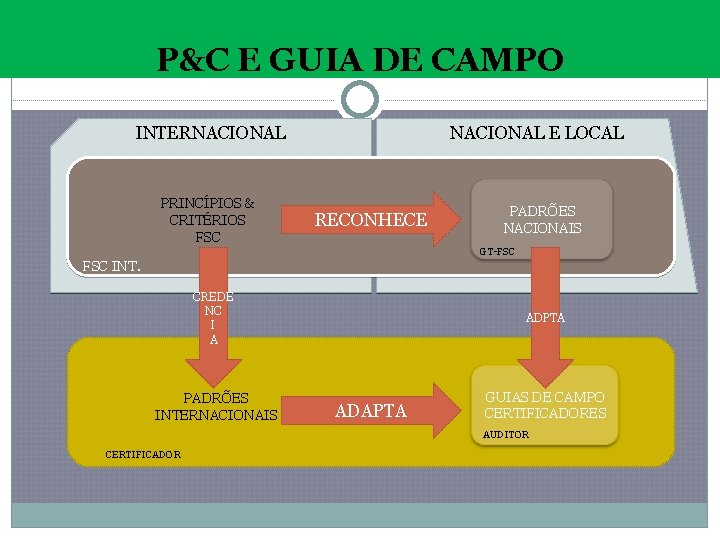 P&C E GUIA DE CAMPO INTERNACIONAL PRINCÍPIOS & CRITÉRIOS FSC RECONHECE NACIONAL E LOCAL