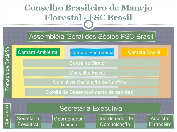 Conselho Brasileiro de Manejo Florestal - FSC Brasil Operação Tomada de Decisão Assembléia Geral