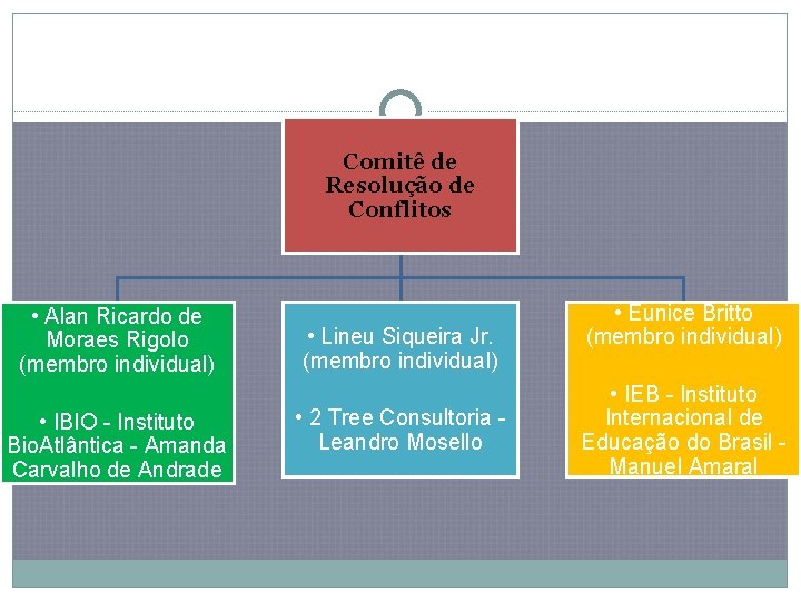 Comitê de Resolução de Conflitos • Alan Ricardo de Moraes Rigolo (membro individual) •