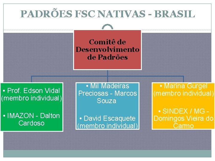 PADRÕES FSC NATIVAS - BRASIL Comitê de Desenvolvimento de Padrões • Prof. Edson Vidal