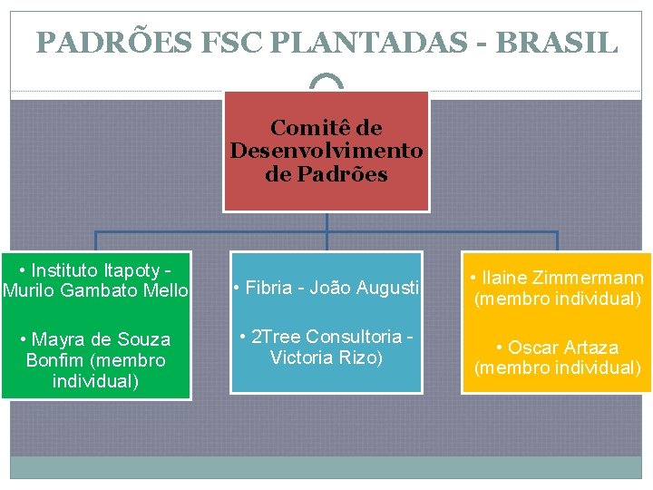 PADRÕES FSC PLANTADAS - BRASIL Comitê de Desenvolvimento de Padrões • Instituto Itapoty -