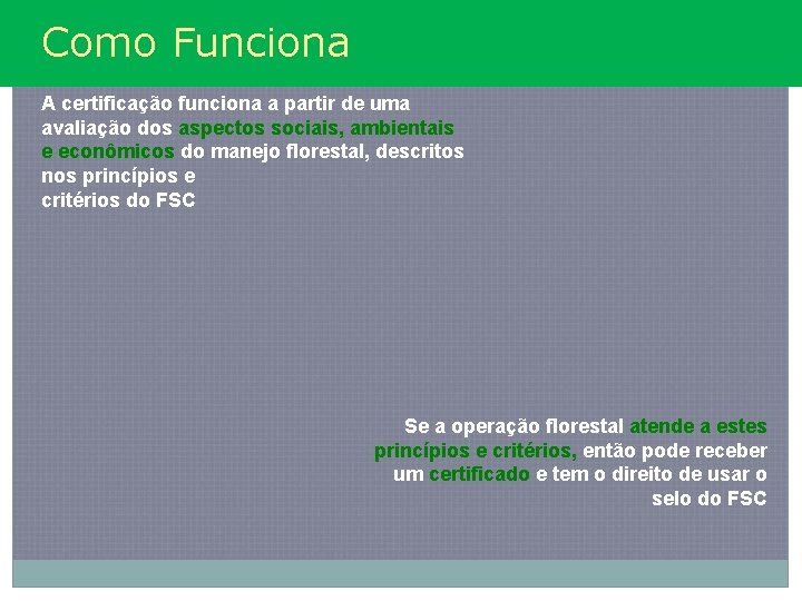 Como Funciona A certificação funciona a partir de uma avaliação dos aspectos sociais, ambientais