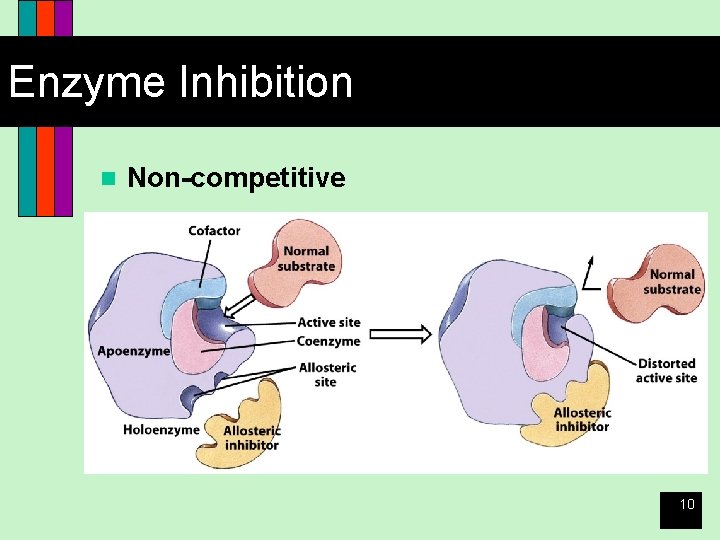 Enzyme Inhibition n Non-competitive 10 