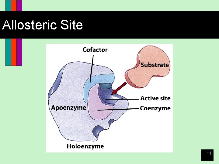 Allosteric Site 11 