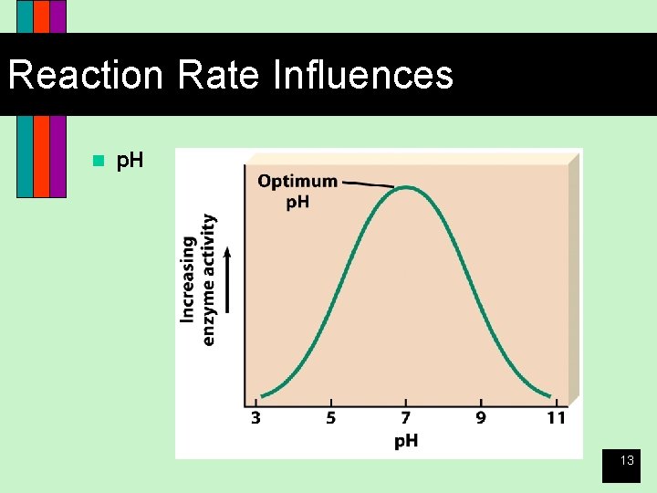 Reaction Rate Influences n p. H 13 